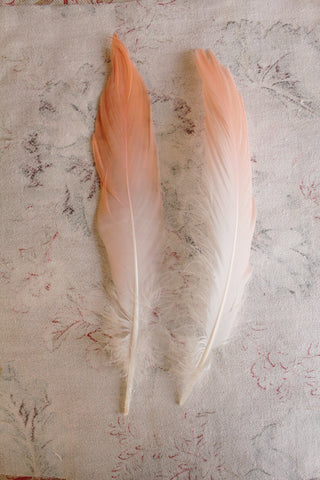 Vintage Millinery Feathers - Blush Cream Duo