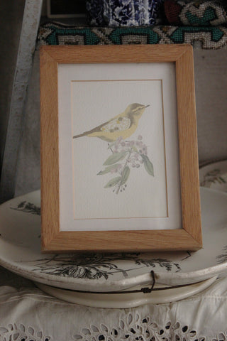 Framed Print - Bird on Branch No.1