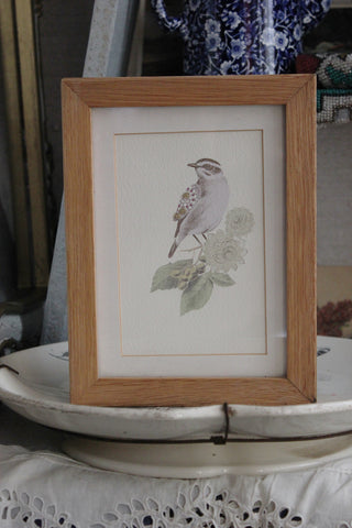 Framed Print - Bird on Branch No.2