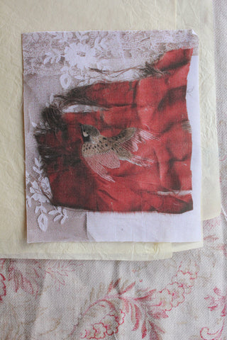 Foundations - Sparrow