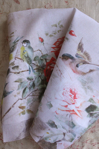 Foundations - Arrival of the Birds