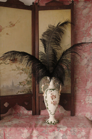 Very Tall Antique Black Ostrich Feathers