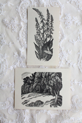 Two Old Small Bookplates - Landscape & Foxgloves