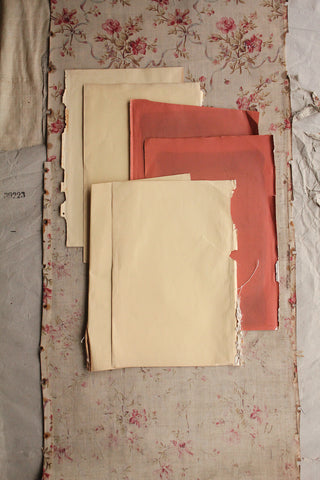 Collection of Edwardian Pages - Buttermilk & Auburn