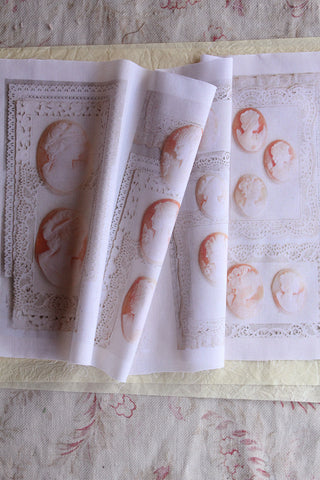 Foundations - Faded Cameos