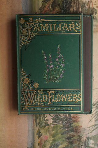 Old Reclaimed Book Cover - Familiar Wild Flowers
