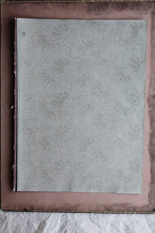 Old Reclaimed French Silk Endpaper - One