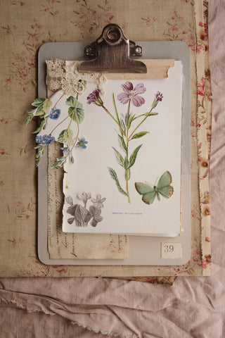 Botanical Diary Boards - DIY - Blues & Purple