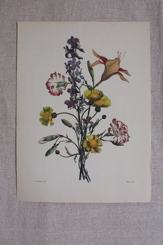 Large Pierre-Joseph Redouté Bookplate