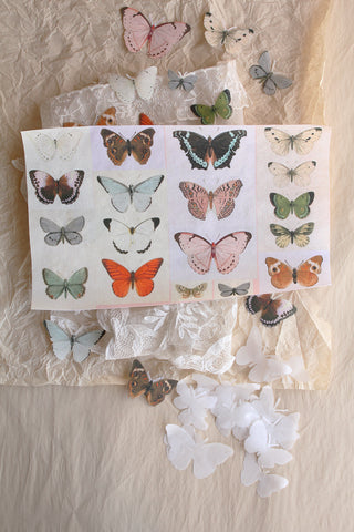 Foundations - Butterflies