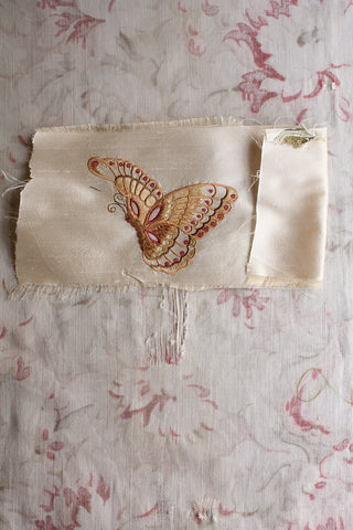 Sweet Butterfly