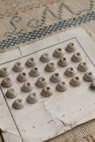 Sweet Woven French Urchin Buttons