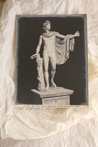 Antique Gelatin Silver Print/Photograph - Apollo