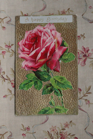 Collectable Postcard - Pink Rose Stem