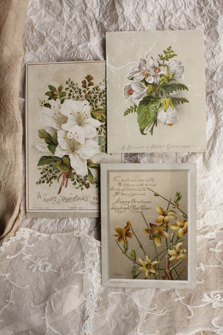 Selection of Antique Greeting Card Panels