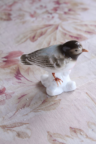 Lonely Old Finch