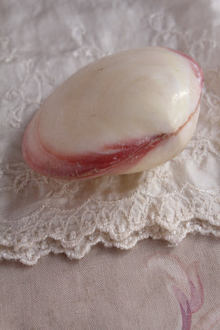 Pink Double Clam Shell