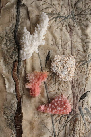 Coral