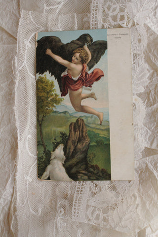 Collectable Postcards - Correggio