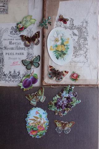 Decoupage Stories - Butterflies and Flower Cameos (No.1)