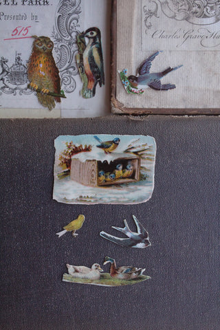 Decoupage Stories - Birds (No.6)