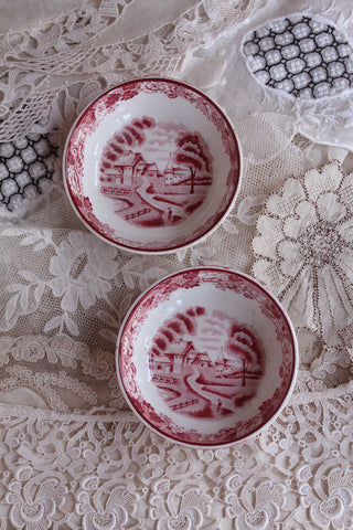 Early Woods Ware Dishes - English Scenery
