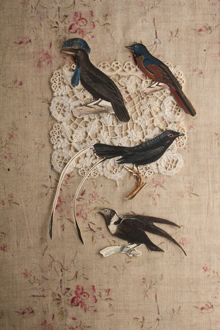 Edwardian Hand Coloured Engraved Birds - Gathering No.7