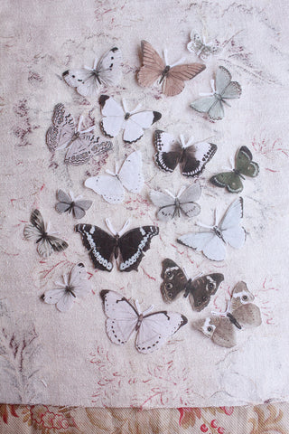 Foundations - Faded Butterflies - Pre - Cut Version