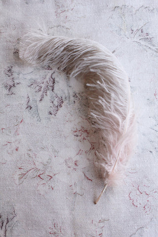 Antique Faded Mauve to Grey Ostrich Feather (2)
