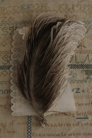 Cafe Latte Antique Milliners Ostrich Feather