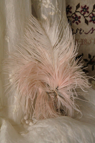 Beautiful Old Milliner's Feather Decorative