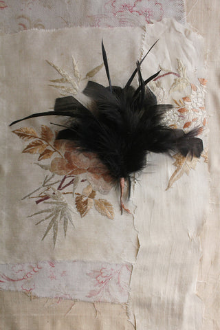 Plume of Antique Feathers