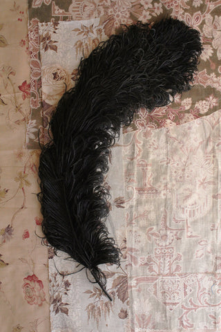 Large & Beautiful Old Ostrich Feather - Black