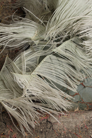 Palest of Duck Egg Blue Feather Garland