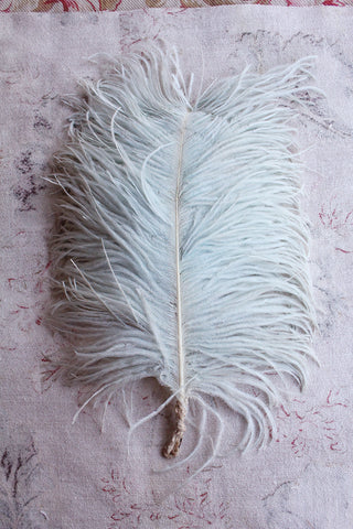 Antique Faded Mint Ostrich Feather