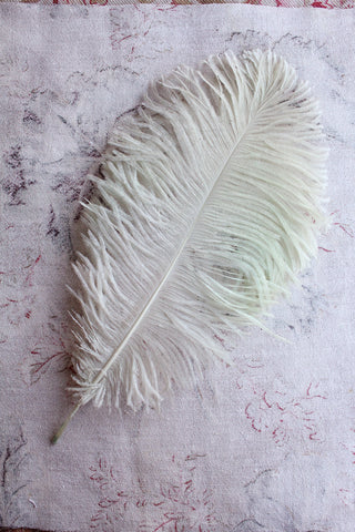 Antique Faded Pistachio Ostrich Feather (2)