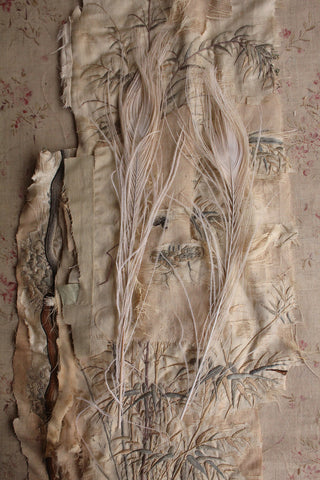 Vintage Cream Peacock Feathers
