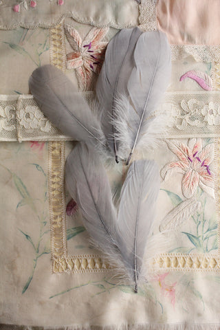 Vintage Millinery Feathers - Silk Grey