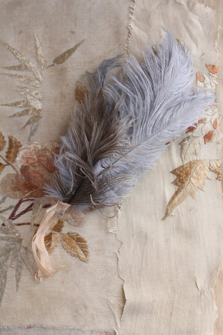 Gathering of Antique Milliners Ostrich Feathers