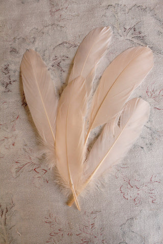 Vintage Millinery Feathers - Apricot Cream