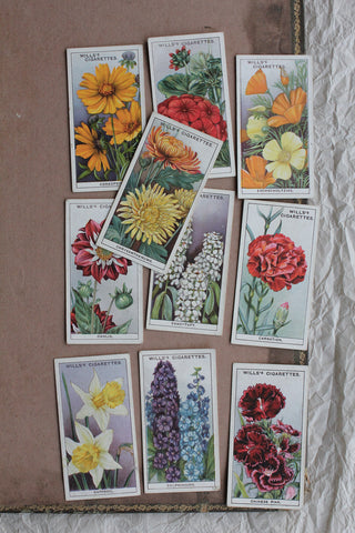 Old Cigarette Cards - Garden Flowers - Collection 1
