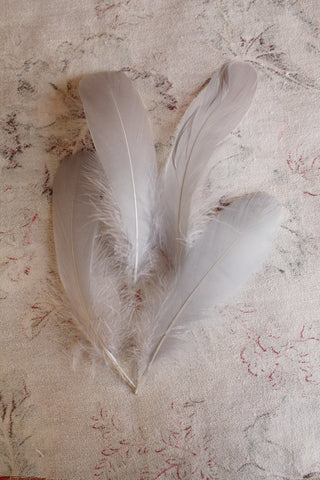 Vintage Millinery Feathers - Silk Grey