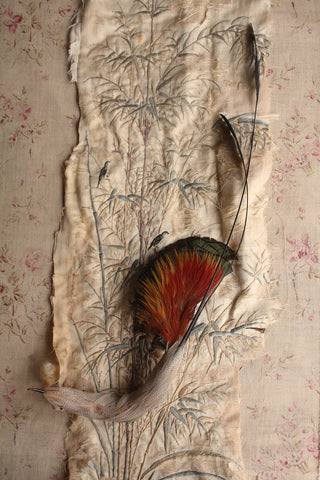 Hummingbird