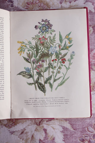 Perfectly Imperfect Wild Flowers Book