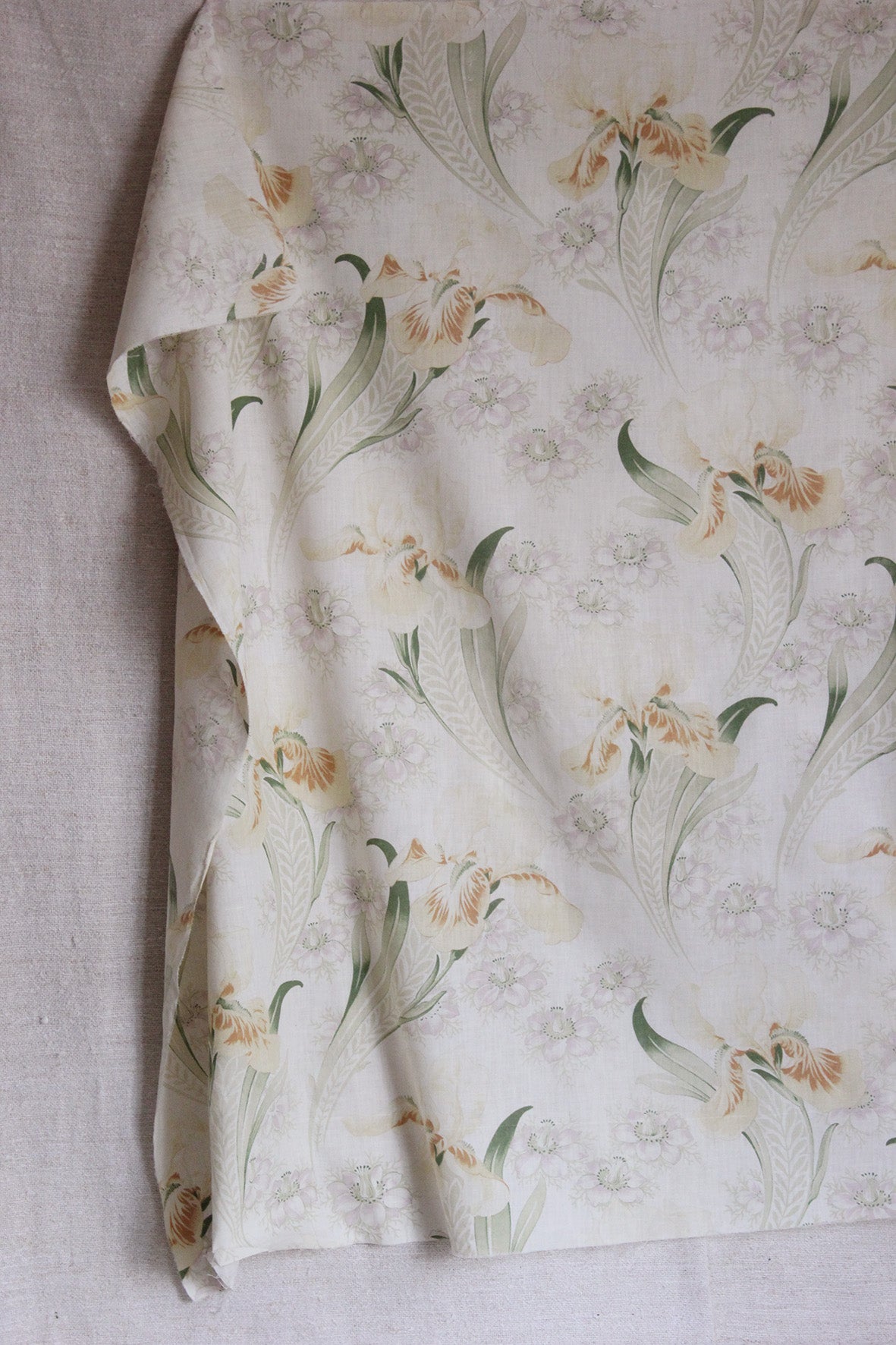 Old French Printed Cotton - Iris & Love in a Mist