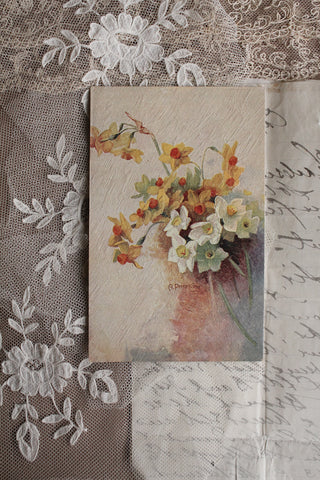 Old Collectable Postcard - Narcissus