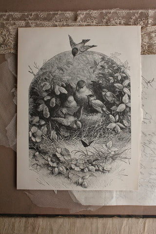 Reclaimed Bookplate - Nesting