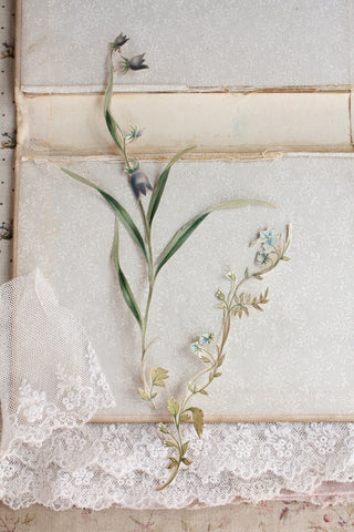 Precious Hand Painted Flowers - Forget me Nots and Harebells