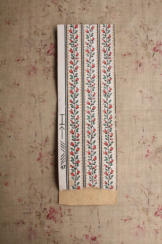 Paper Ribbon - Ditsy Stripe