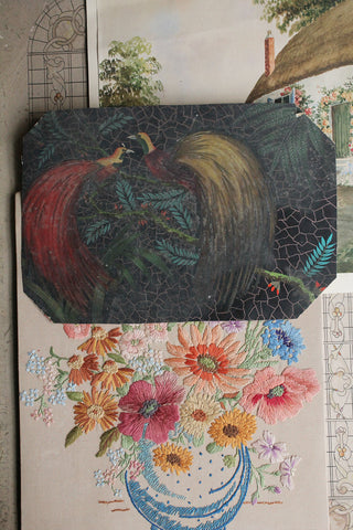 Old Hand Painted Birds on A Printed - Birds of Paradise